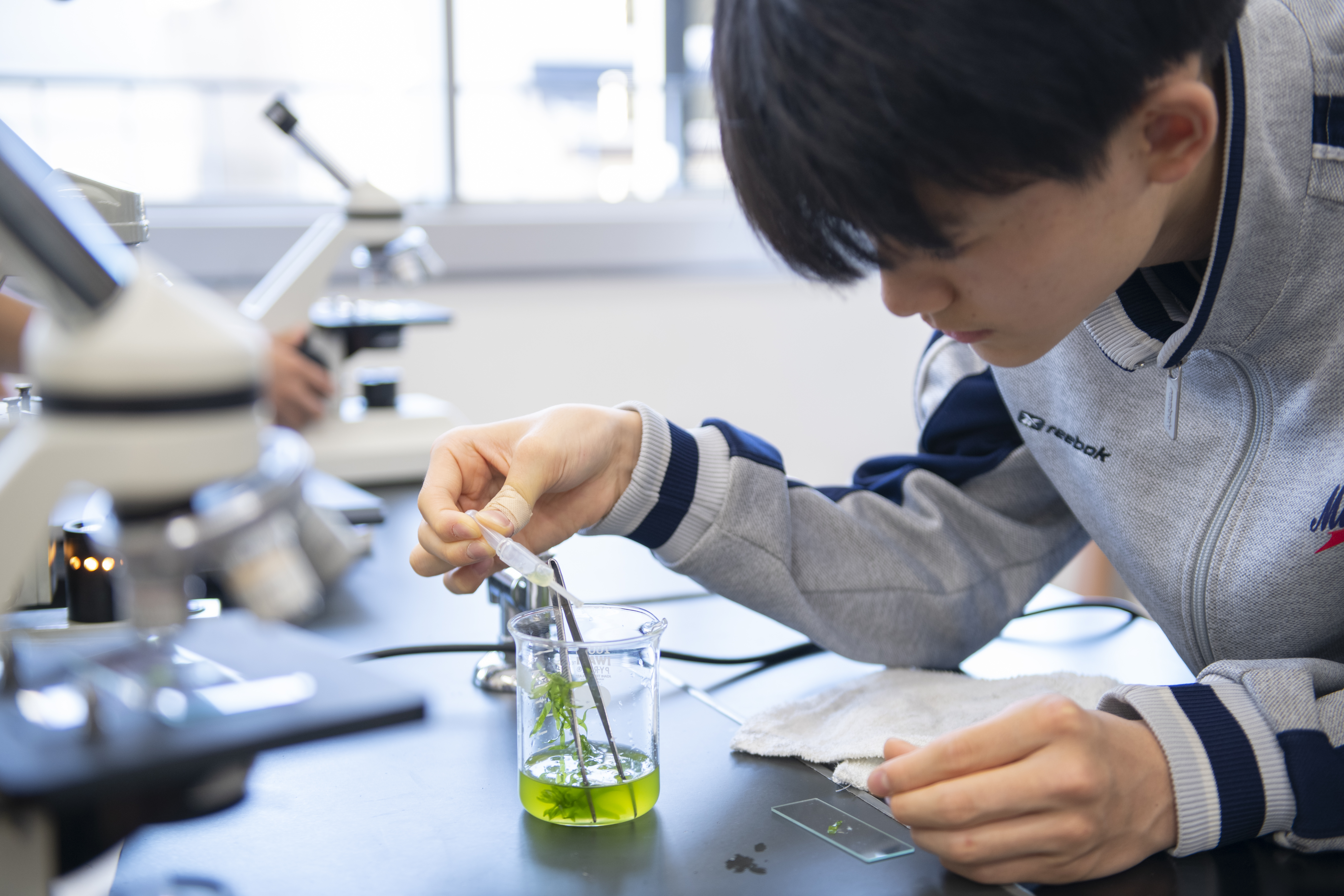 豊富な実験・観察とレポートの作成