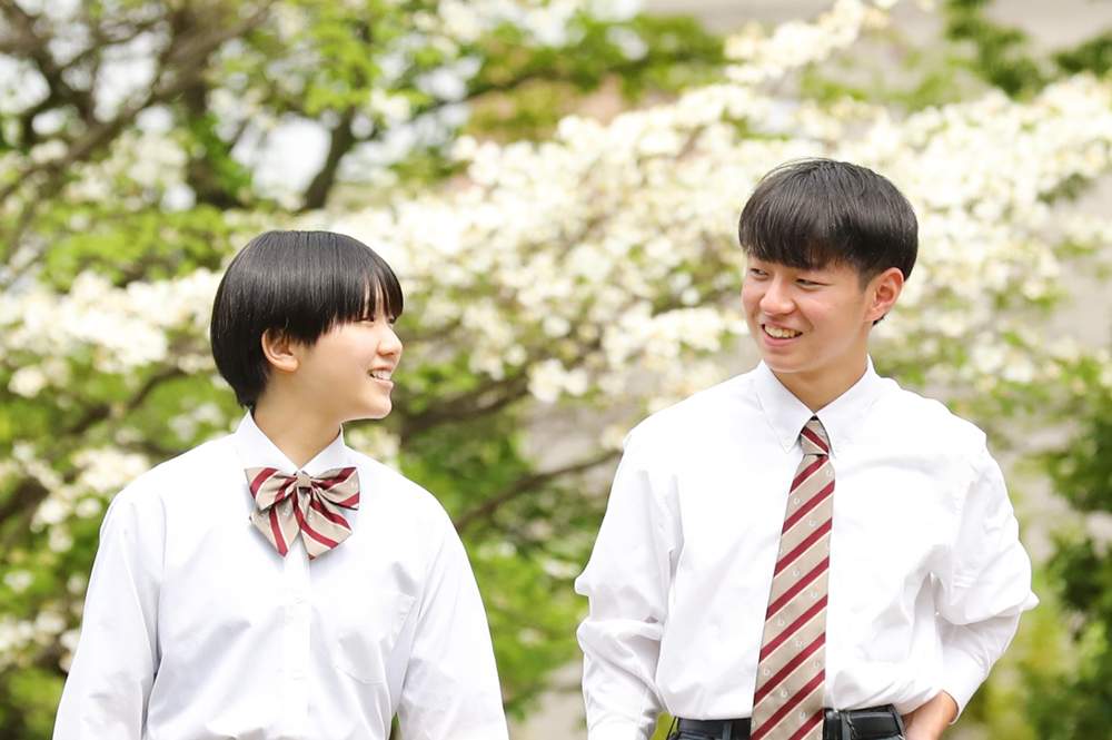 高等専修学部とは？